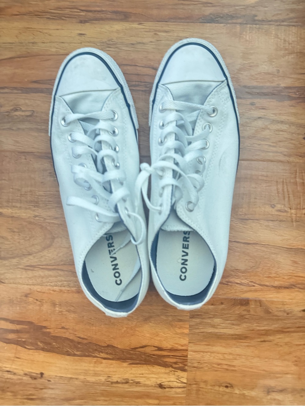 Converse Women’s Low Top Lace-Up Sneakers in White with Black Trim